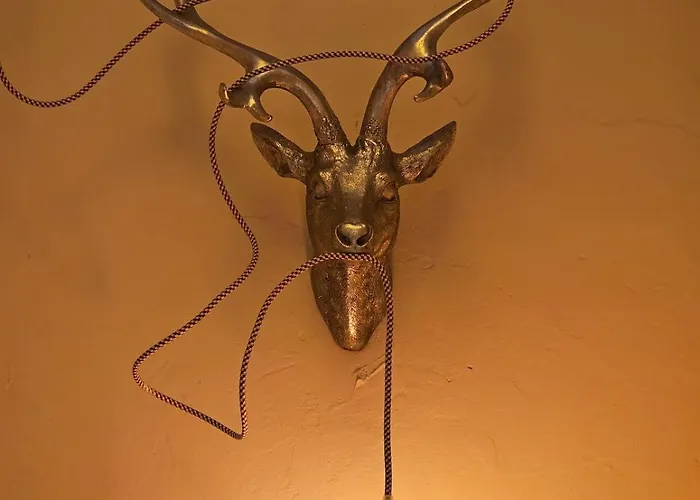 Stylish Forest View -